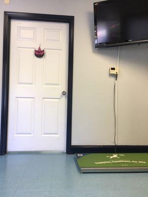 Door to the cat patient room.