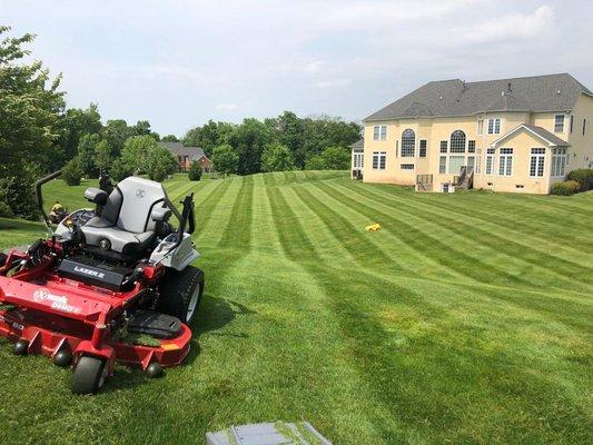 Experience the Joy of a Freshly Cut Lawn! Let Our Expertise Bring Out the Best in Your Yard with our Top-notch Lawn Cutting Service