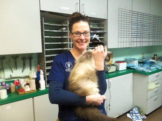 Meet Michelle (and Teddy)!! Michelle is a Licensed Veterinary Technician and the Practice Manager at the clinic!