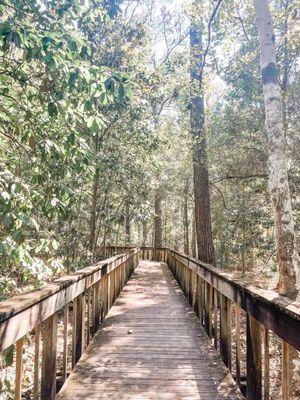 Wooden path