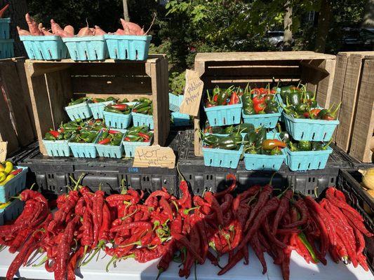 Great selection of colorful vegetables.