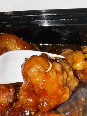 Crispy Orange Chicken