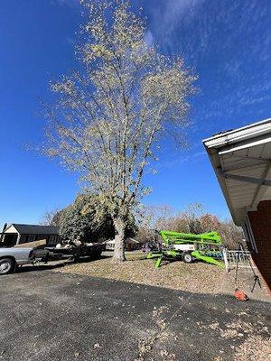 Huff's Tree Service and Handyman