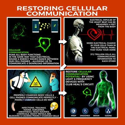 CUTTING EDGE DETOX CIRCUIT TO RESTORE CELLULAR COMMUNICATION & PROMOTE DETOX LIKE NEVER BEFORE!