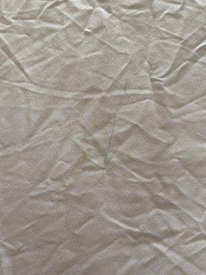 Stains on the bed sheets