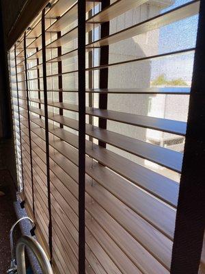 Move in blinds cleaning