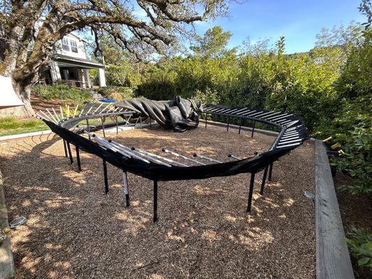 Trampoline