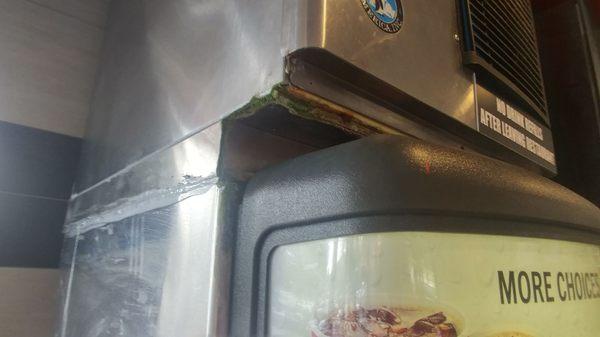 Mold/algae on the drink machine, disgusting