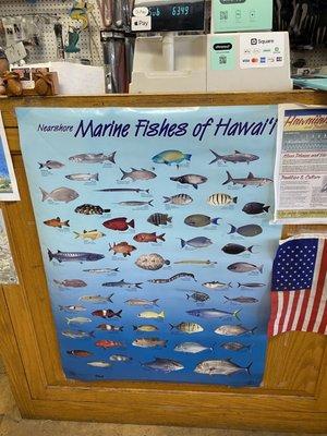 West Maui Sports & Fishing Supply