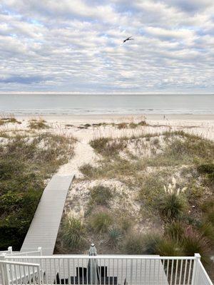 Beautiful morning view from singleton beach