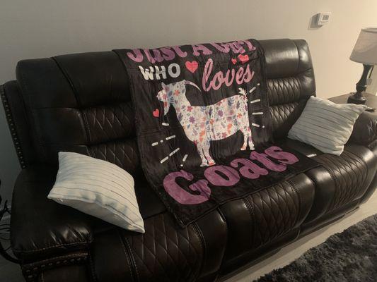 Awesome sofa (pillows and blanket were bought separately on Amazon)