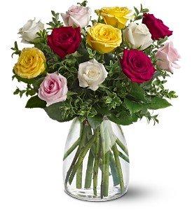 Short Stemmed roses assorted colors.  
 Colors vary season to season