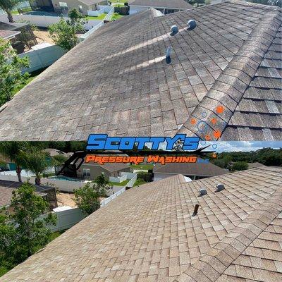 Roof Cleaning