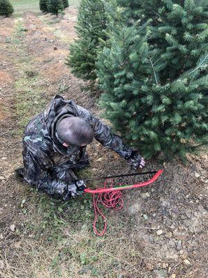 Pine Brook Hollow Tree Farm