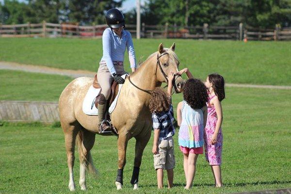 Radnor Hunt Stables