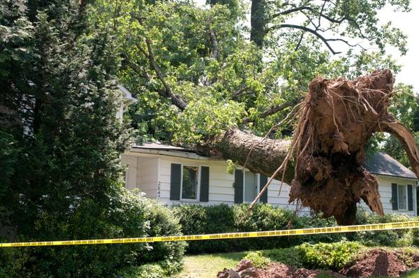 Storm Damage Restoration - Indianapolis, IN