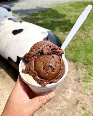 Coffee and double dark chocolate ice cream!