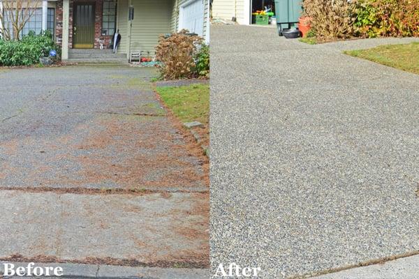 Recent concrete cleaning in Bothell