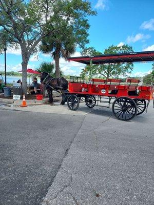 Sea Island Carriage Tour, horse - Justin