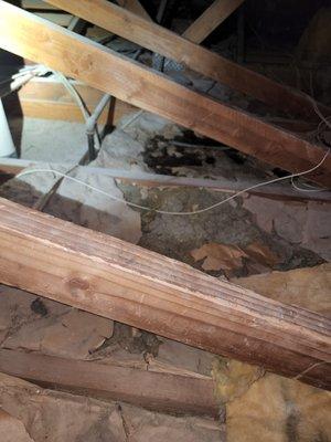 Open AC condensation line drenched our hallway walls ...