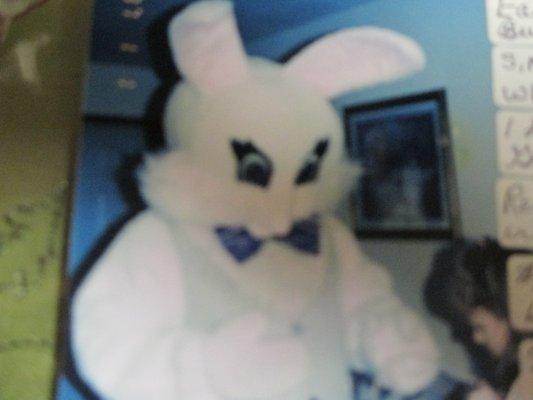 One of the Bunny costumes you could buy. Add a vest, apron, &/or hat for bunny.