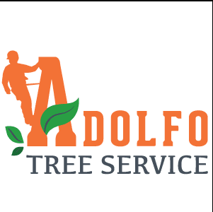 Adolfo Tree Services