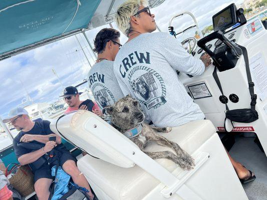 Crew with a dog