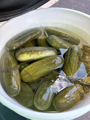 Whole dill pickles.