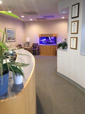 Cherry Creek DDS