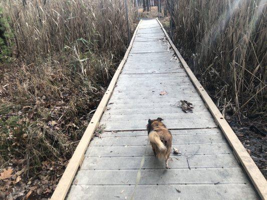 Franklin Lakes Nature Preserve