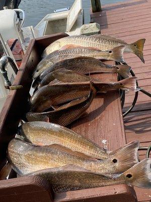 Cleaning station at our dock