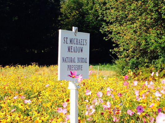 Calvary Cemetery