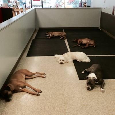 Naps in Daycare