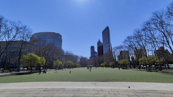 View of the skyline