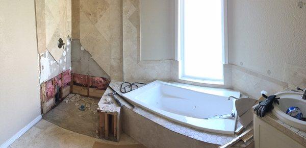 Bathroom remodel -Demo