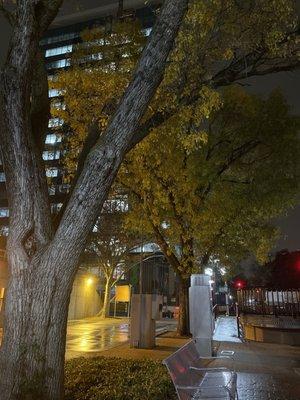 7th & Capitol and 8th & Capitol Light Rail Stations