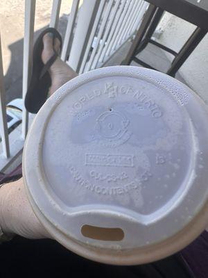 100% compostable lid and cup