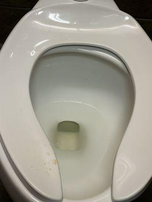 Pee on the seat for who knows how long... At least from the day before I walk in on this.