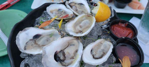 cape cod oysters