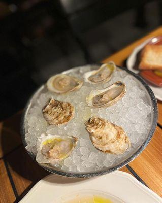 Oysters