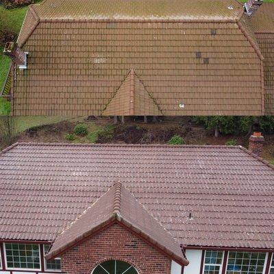 Tile roof cleaning