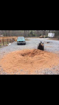 Grinding oak tree stump