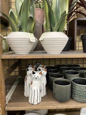 Cat vases!