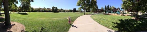 Panoramic of the field.