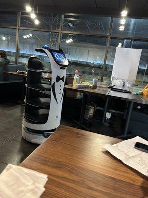 Robot delivering food