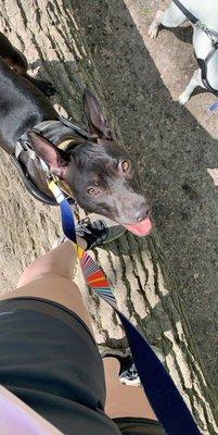 Starved rock climbing with ma