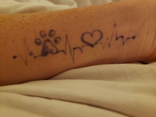 This is my "henna" tattoo after five days. The artist made the design bigger than I asked so she could charge me more.