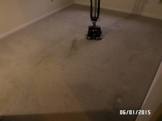 Coffee stain on carpet before cleaning