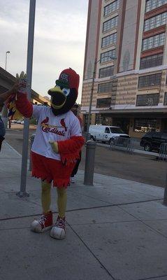 Fredbird at the Civic Center