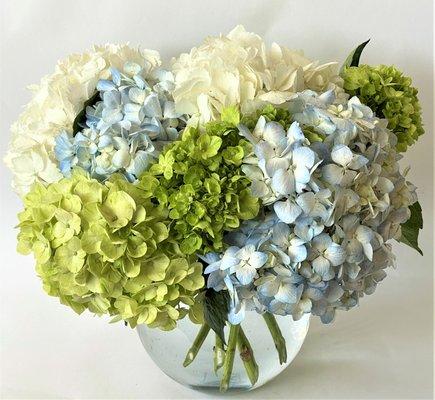 Hamptons Hydrangea